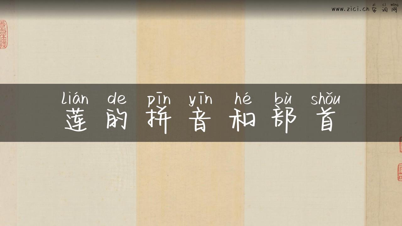 莲的拼音和部首
