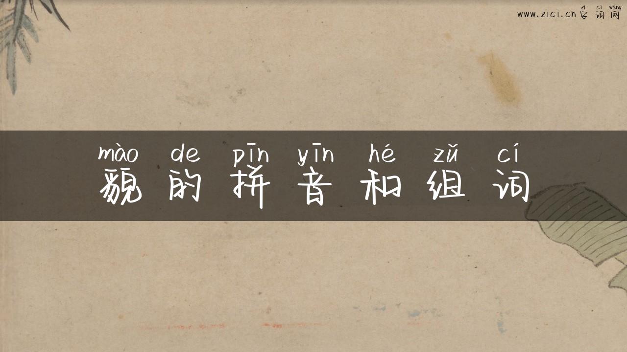 貌的拼音和组词