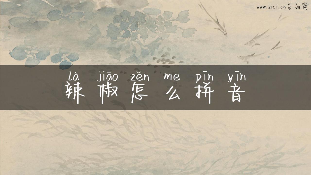 辣椒怎么拼音