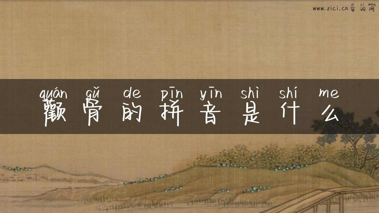 颧骨的拼音是什么