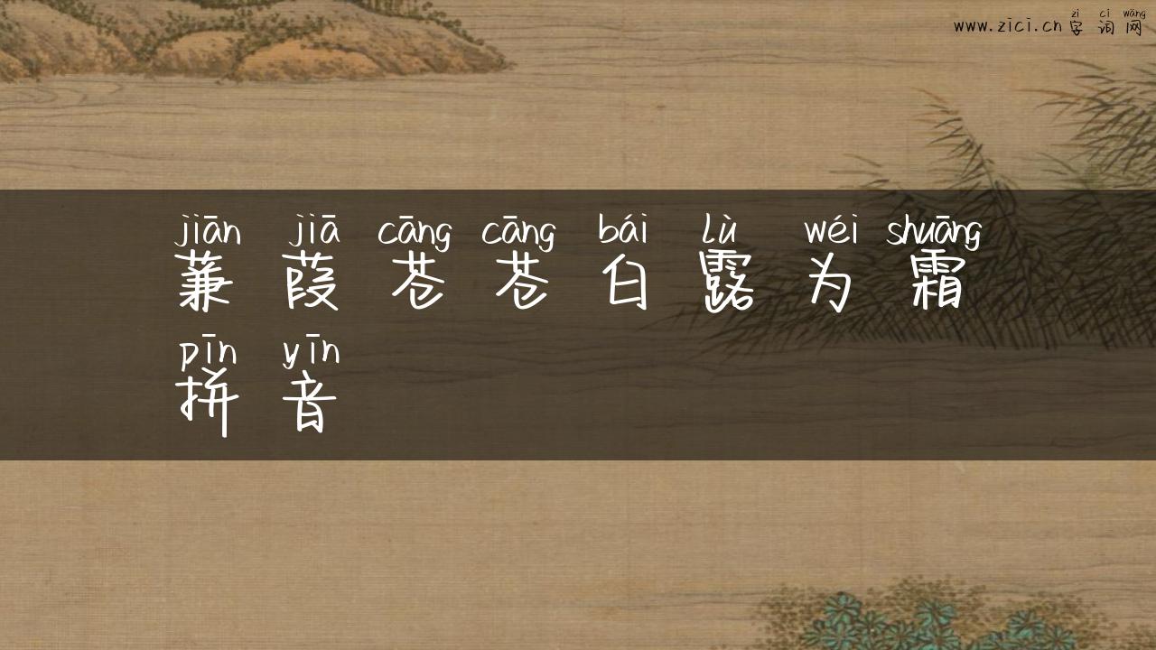 蒹葭苍苍白露为霜拼音