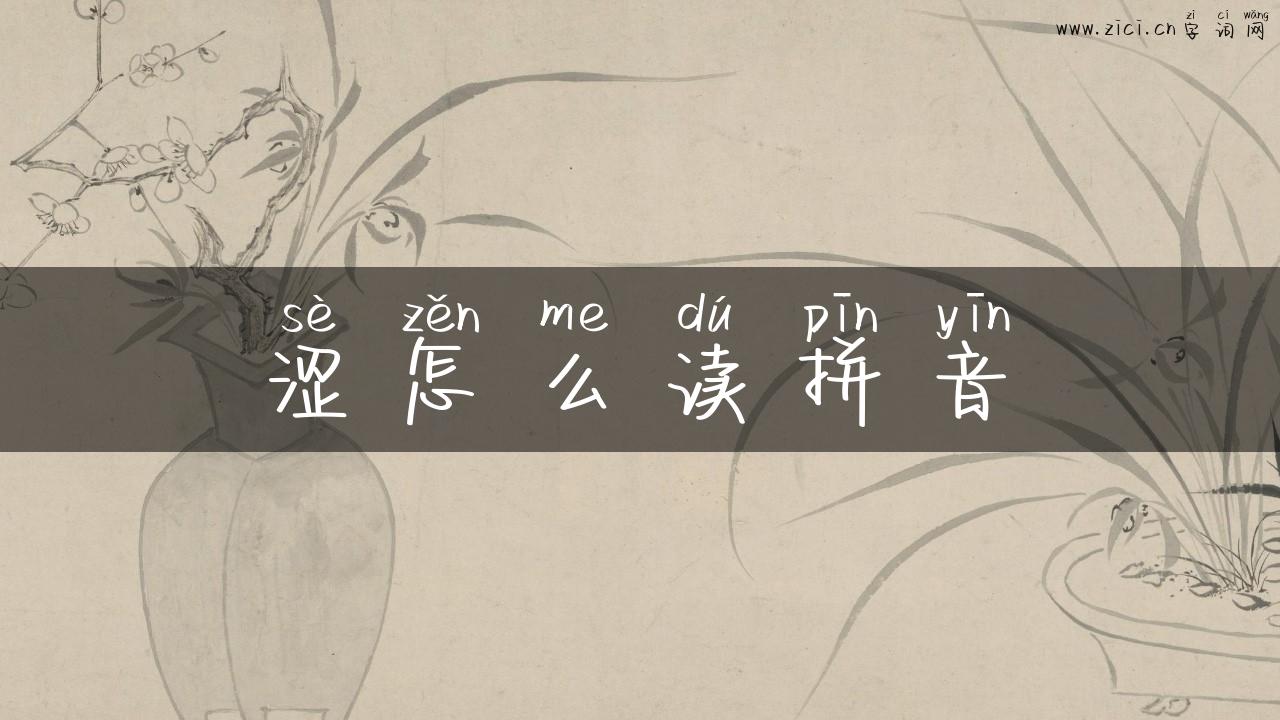 涩怎么读拼音