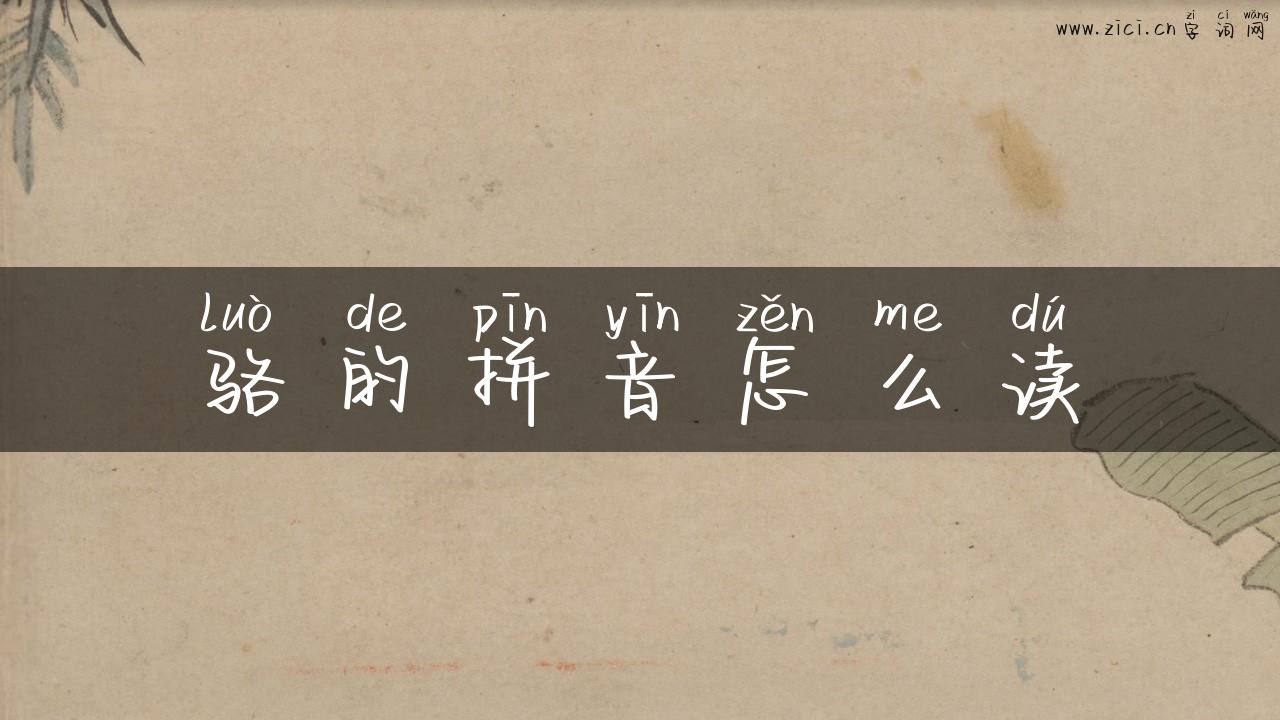 骆的拼音怎么读