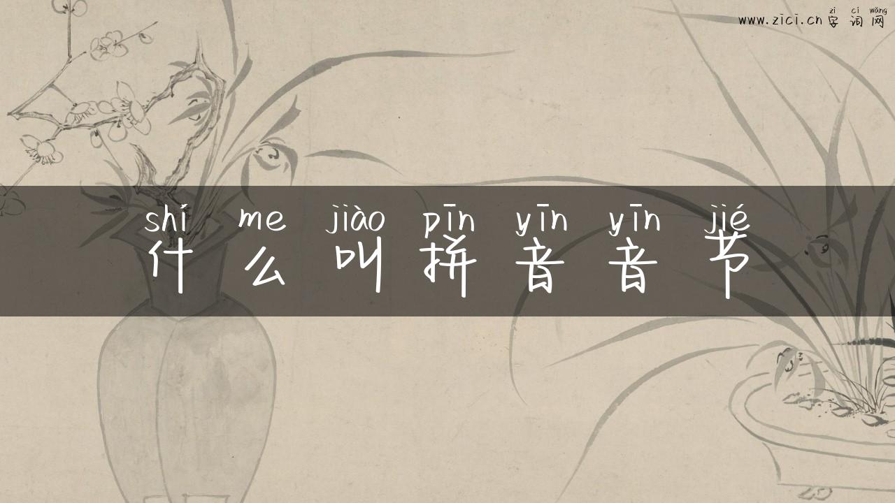 什么叫拼音音节