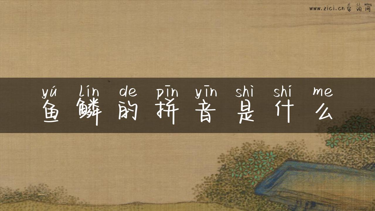 鱼鳞的拼音是什么