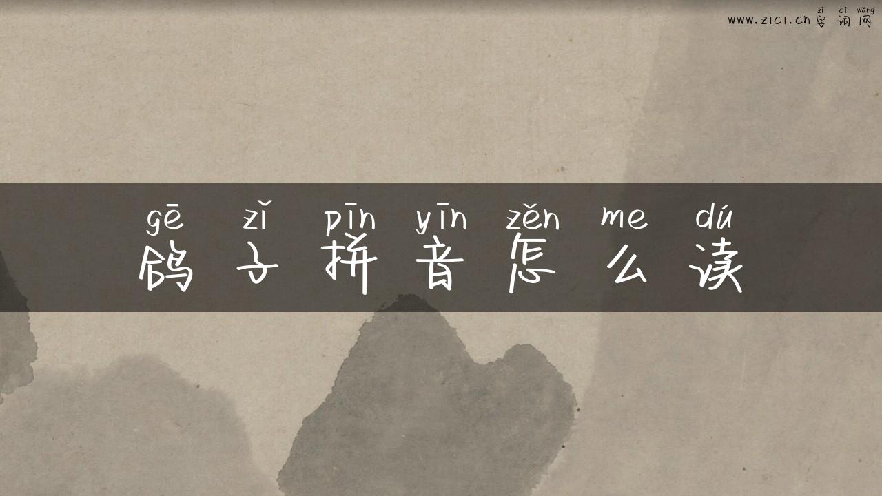 鸽子拼音怎么读