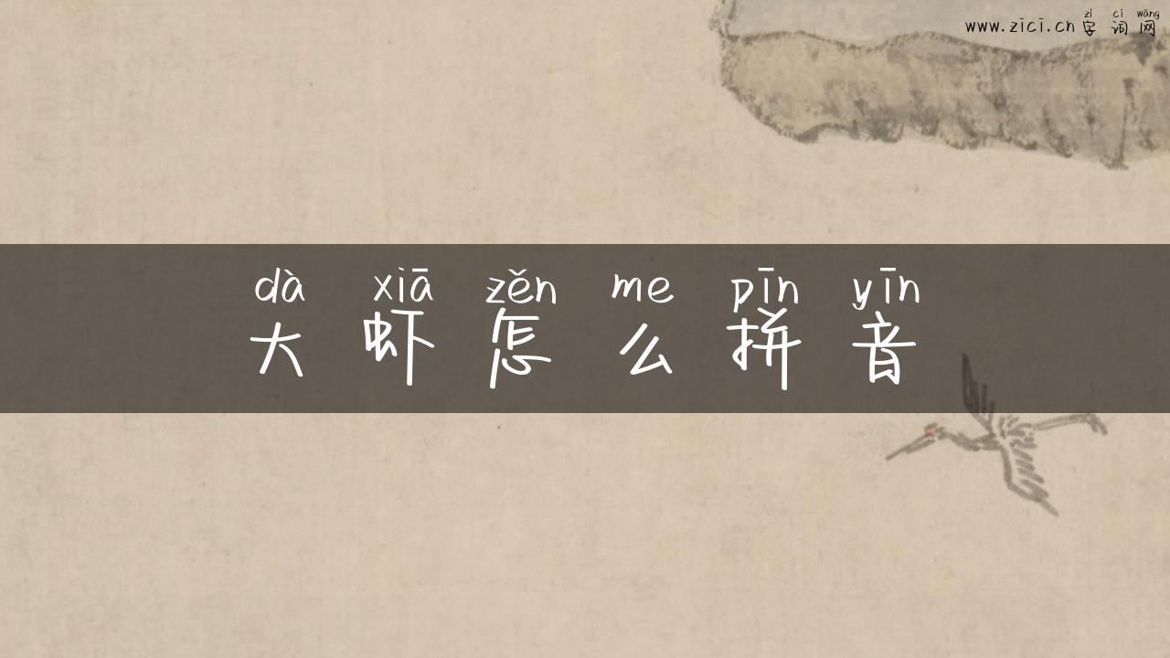 大虾怎么拼音