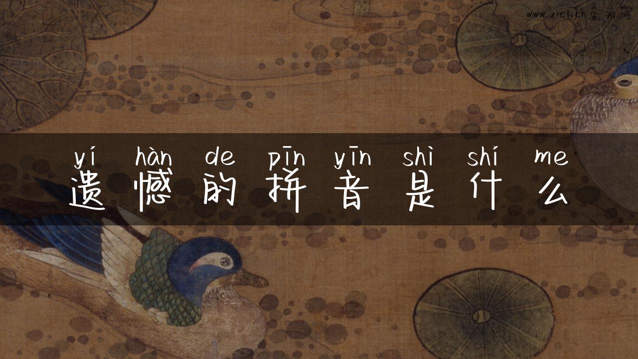 遗憾的拼音是什么