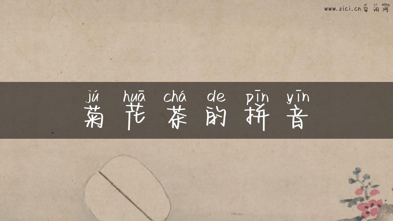 菊花茶的拼音