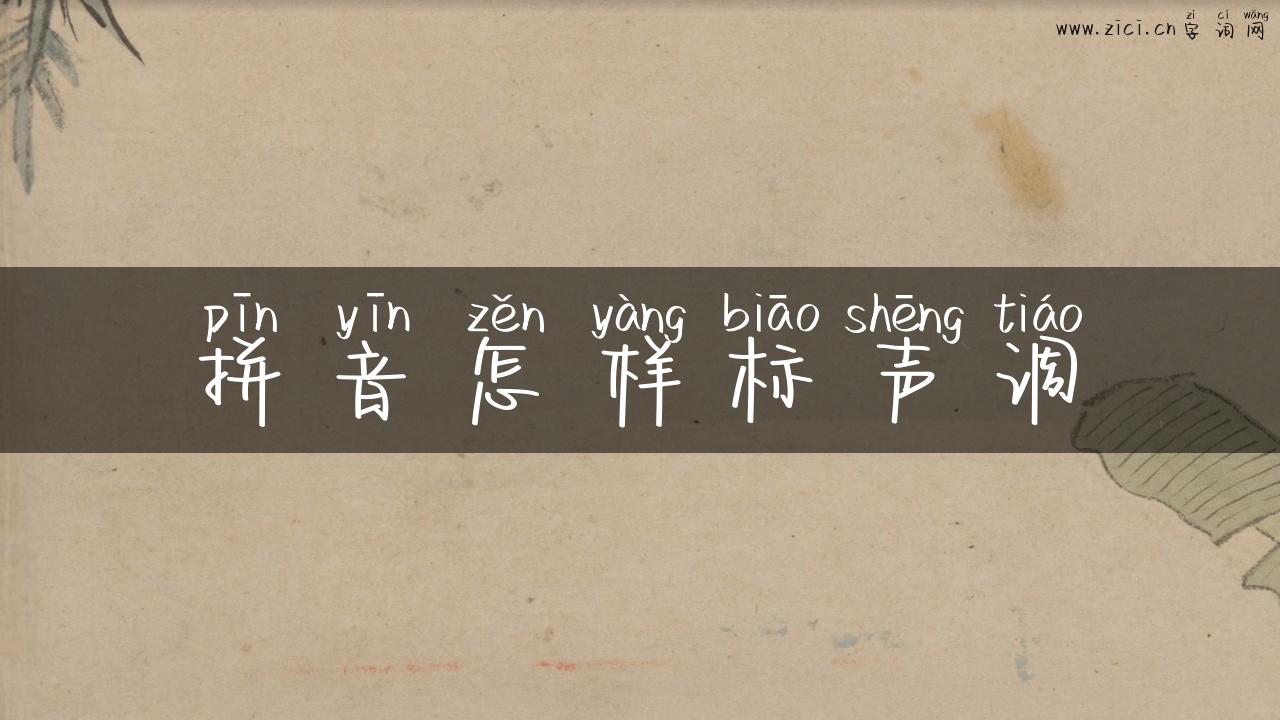 拼音怎样标声调