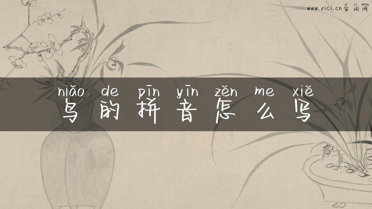 鸟的拼音怎么写