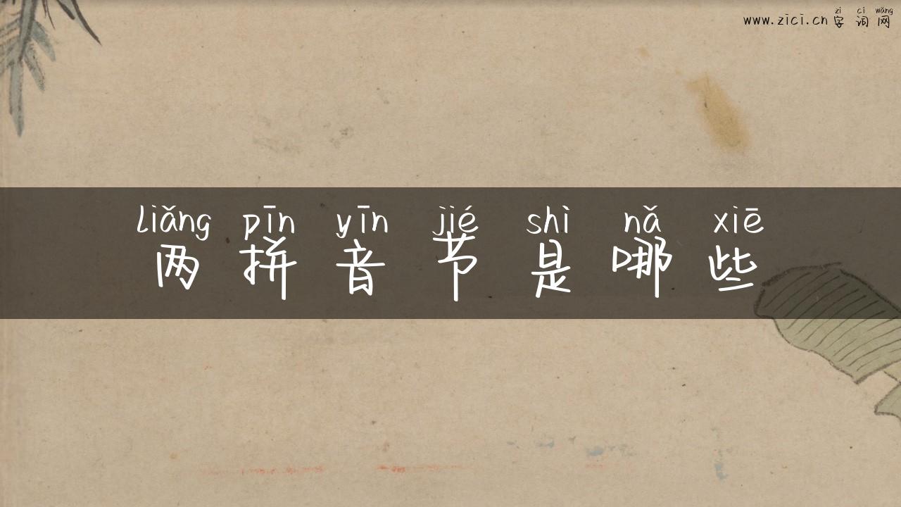 两拼音节是哪些