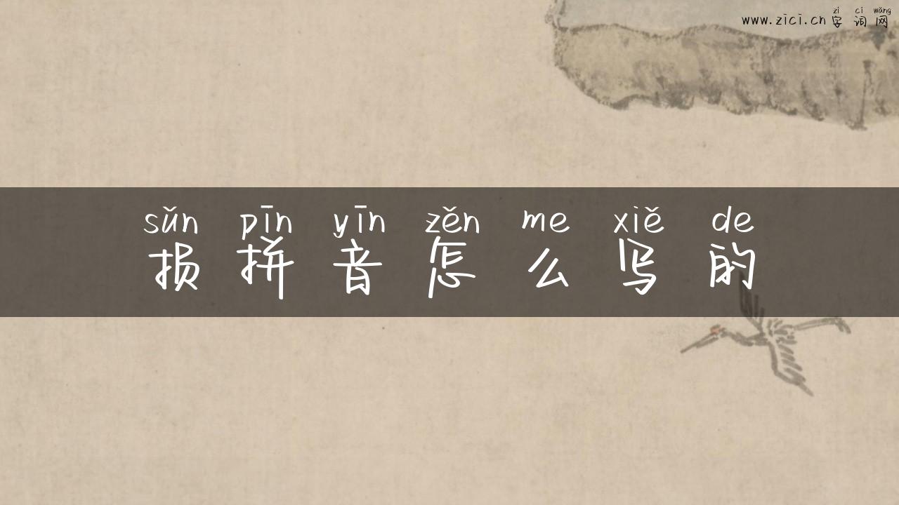 损拼音怎么写的