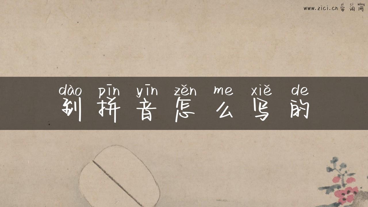 到拼音怎么写的