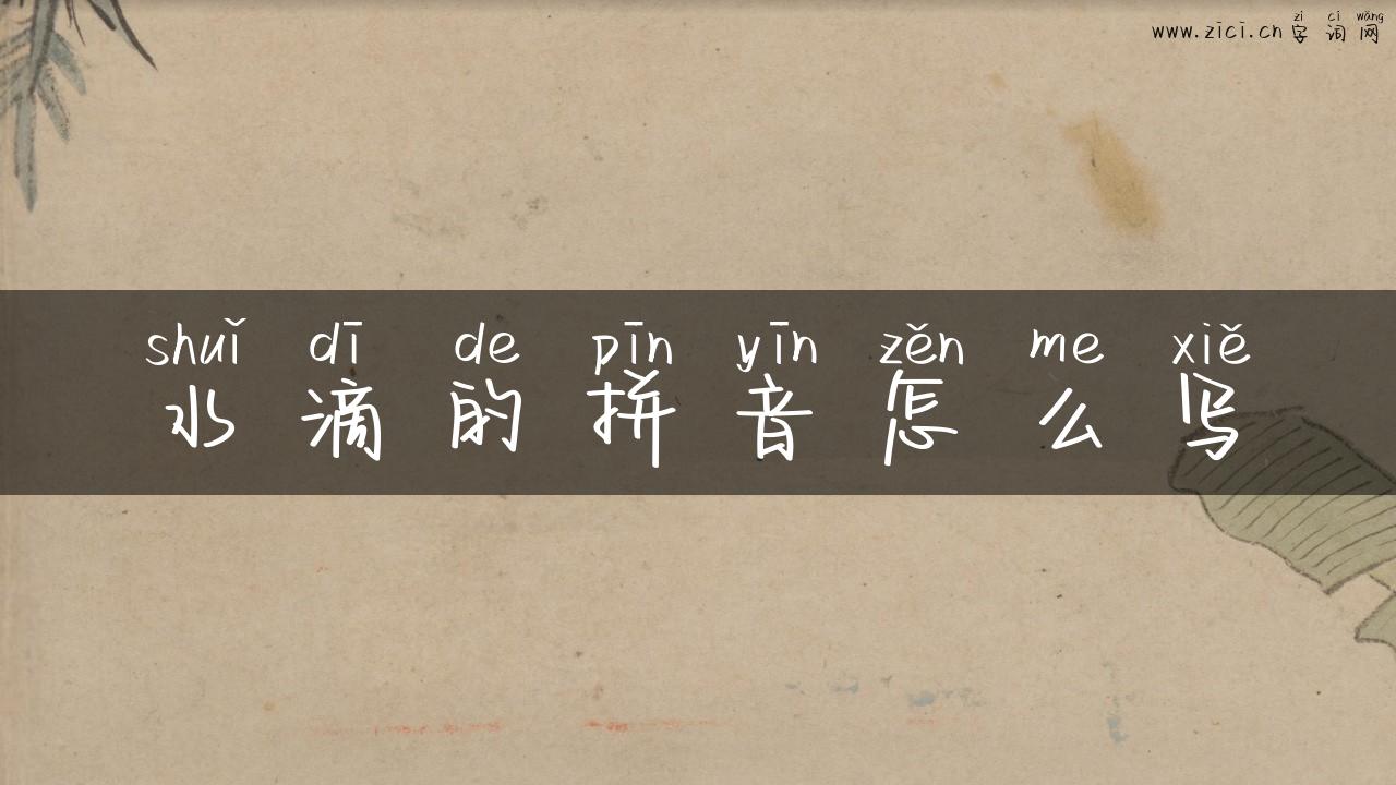 水滴的拼音怎么写