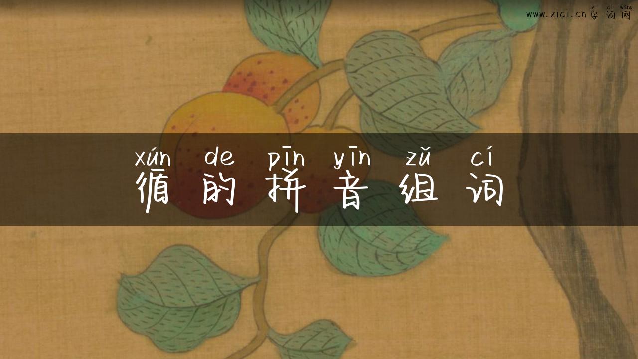 循的拼音组词