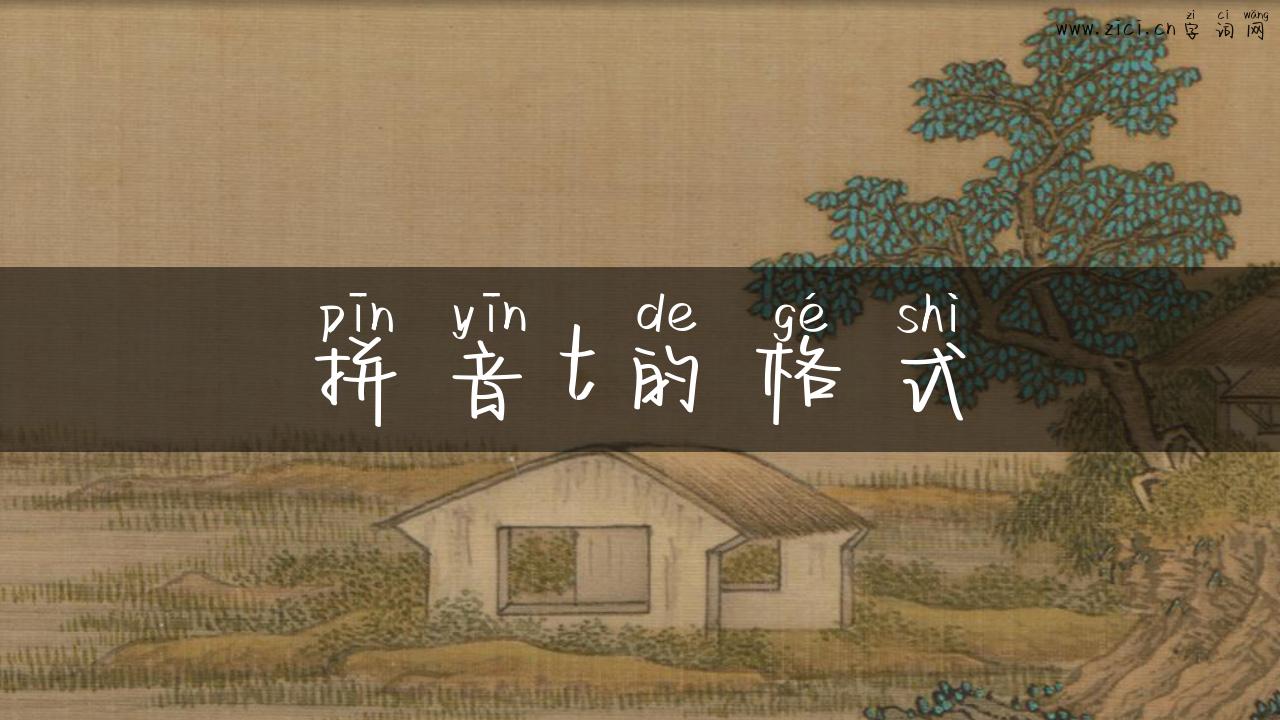 拼音t的格式