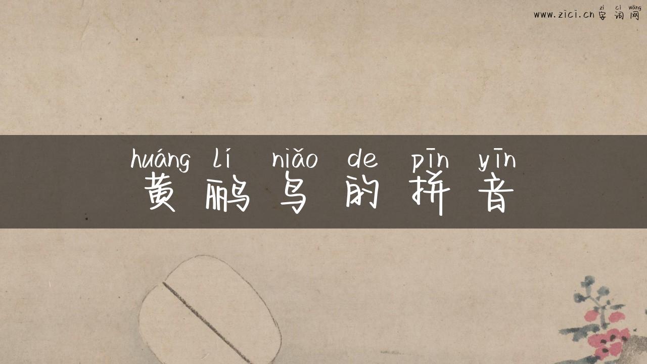 黄鹂鸟的拼音