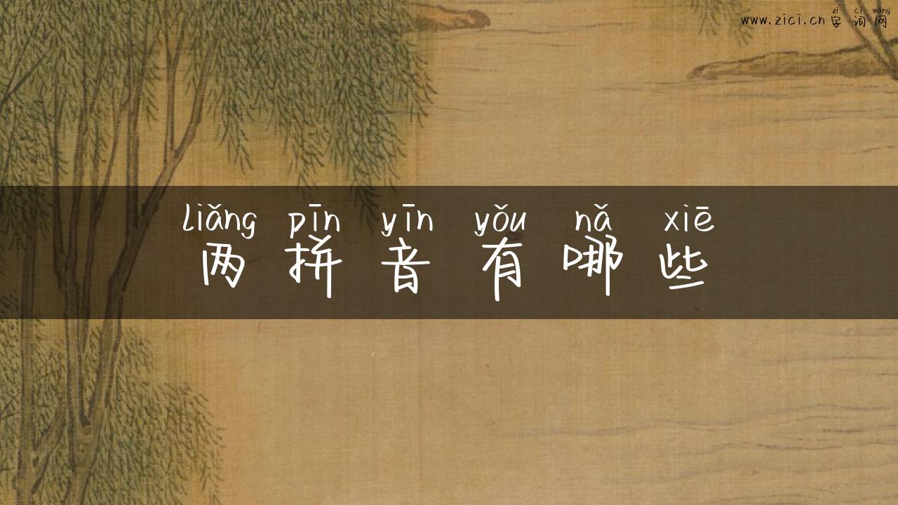 两拼音有哪些
