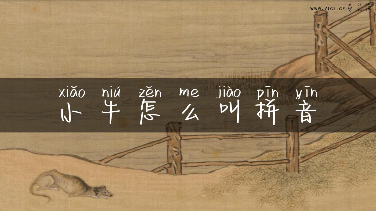小牛怎么叫拼音