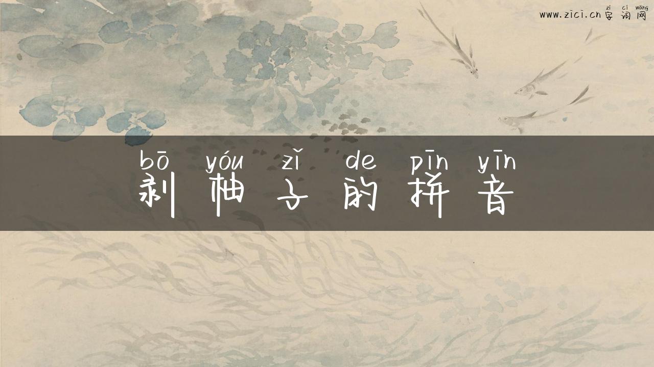 剥柚子的拼音