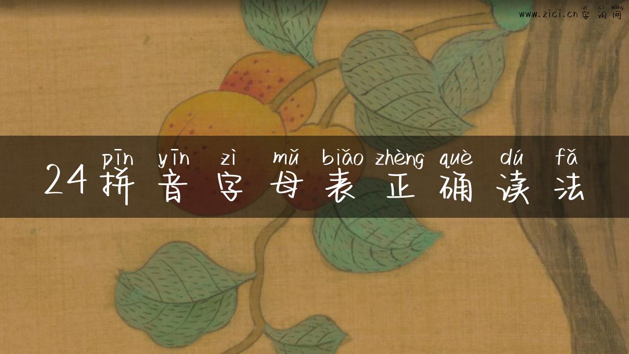 24拼音字母表正确读法