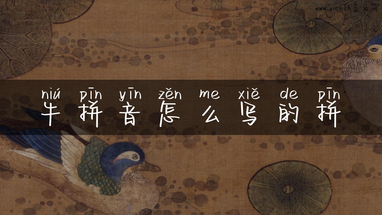 牛拼音怎么写的拼