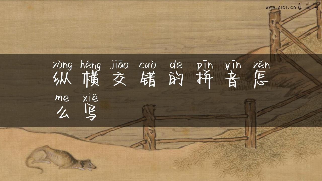 纵横交错的拼音怎么写