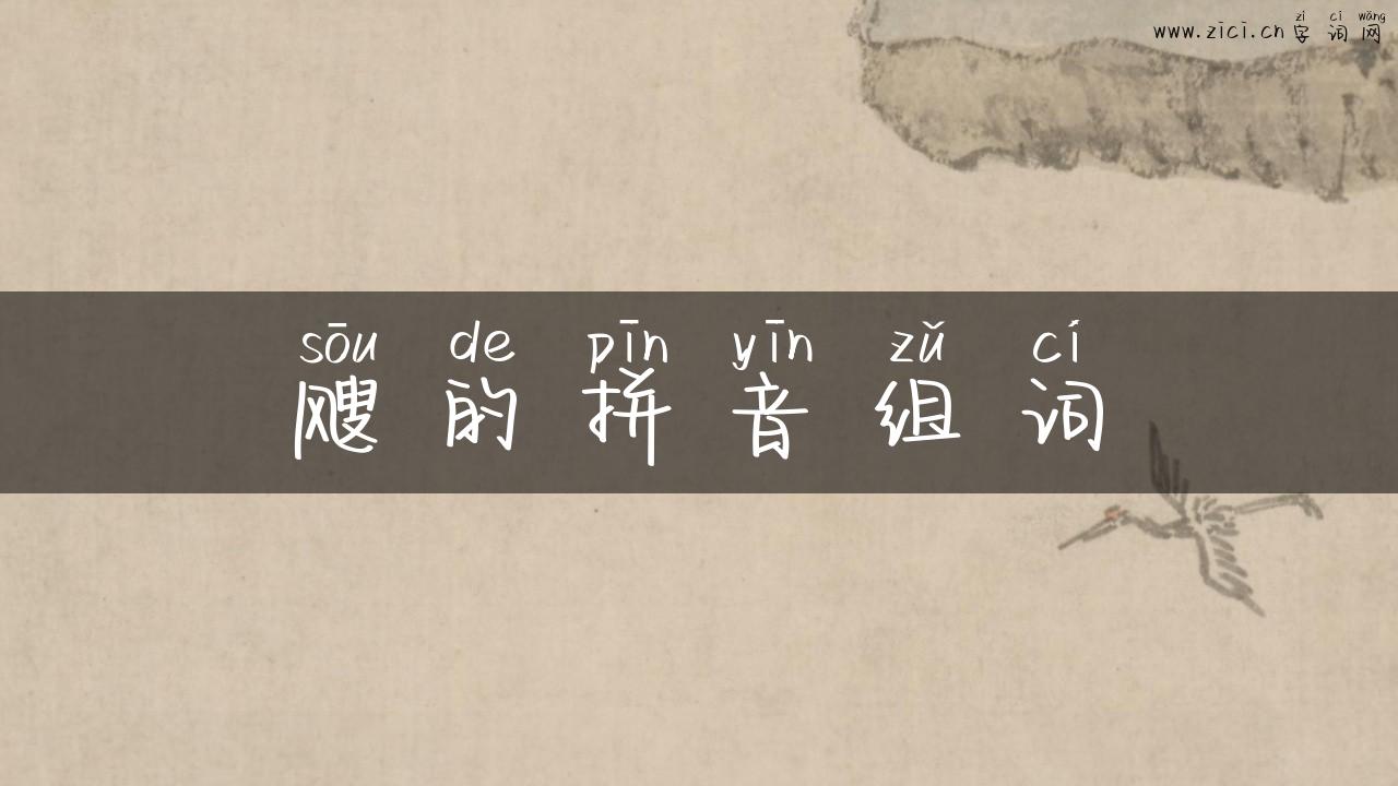飕的拼音组词