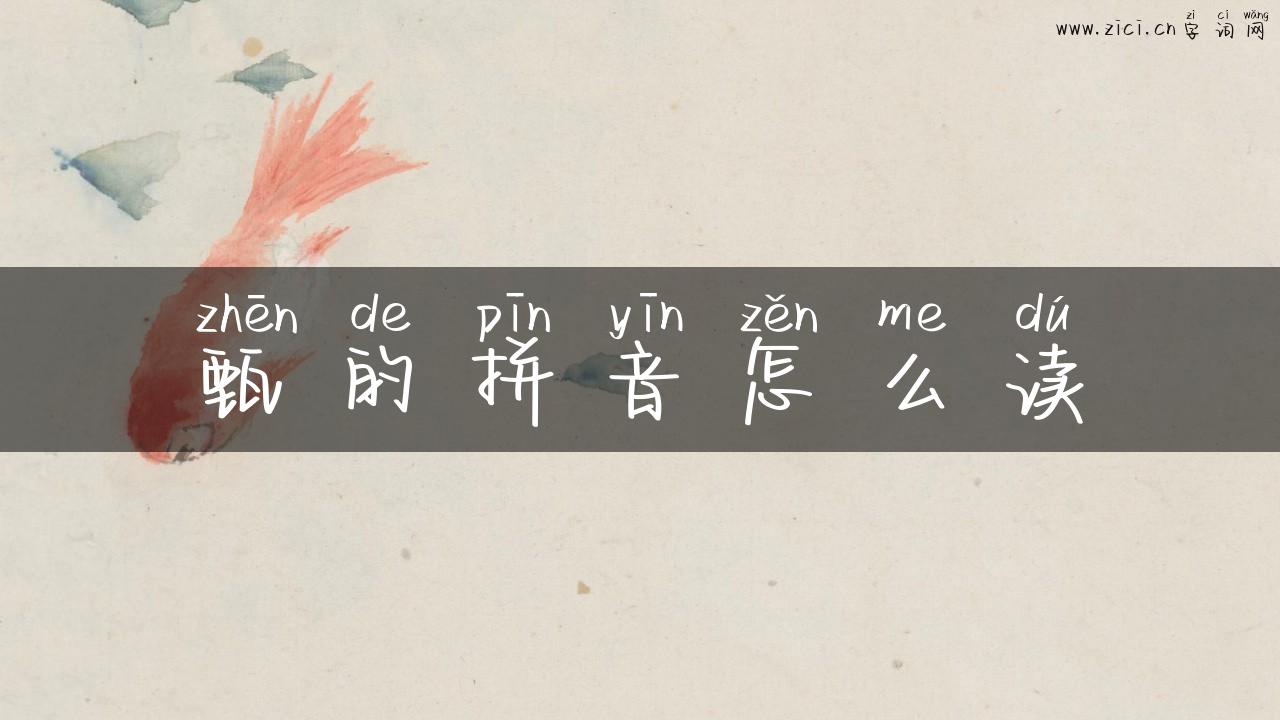 甄的拼音怎么读