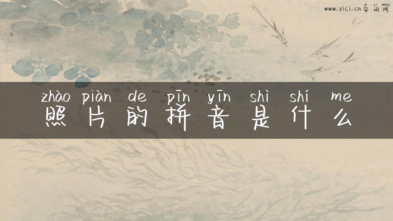 照片的拼音是什么