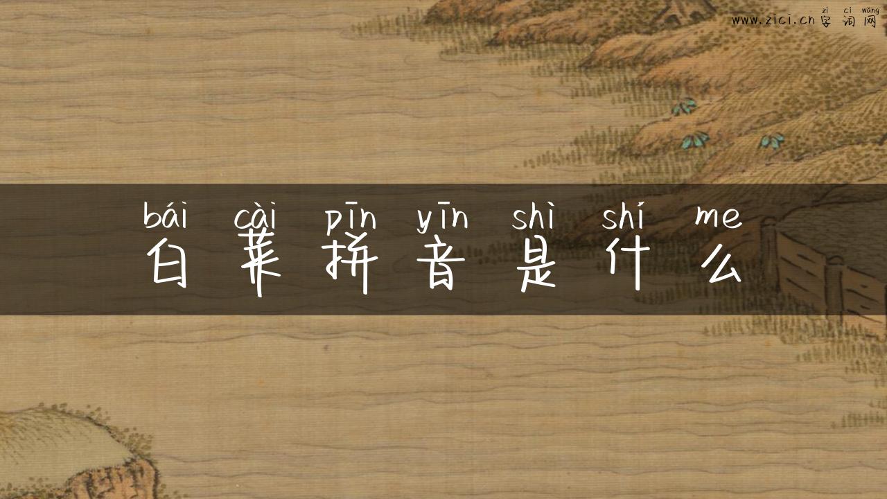 白菜拼音是什么