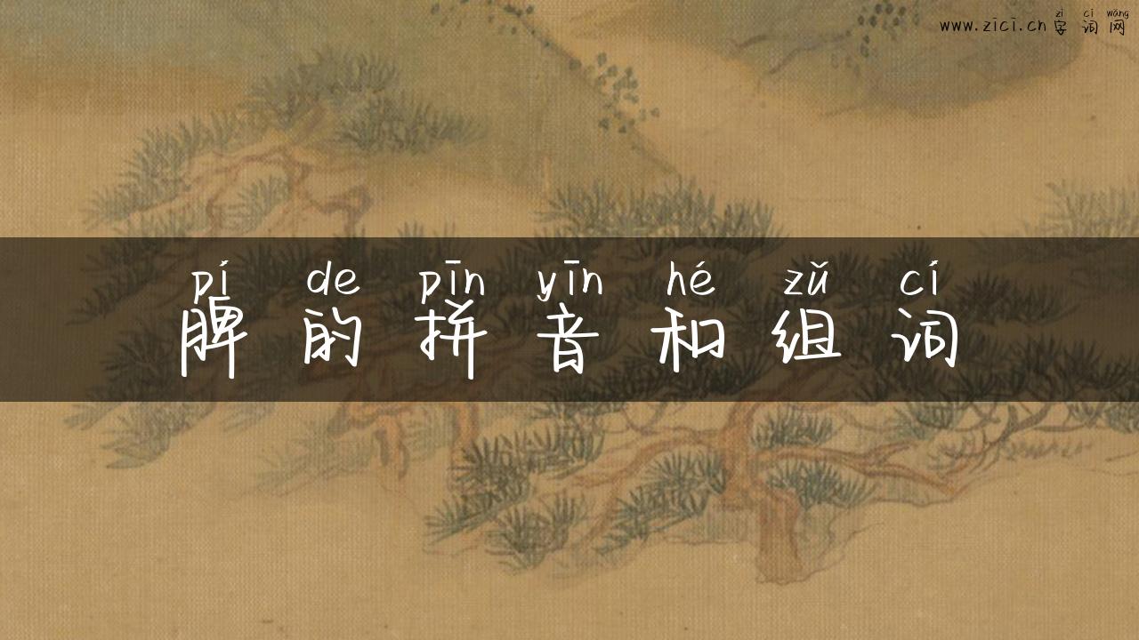 脾的拼音和组词