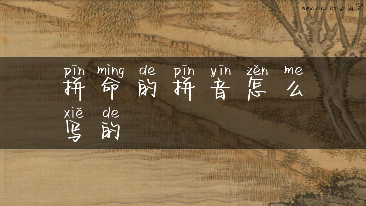 拼命的拼音怎么写的