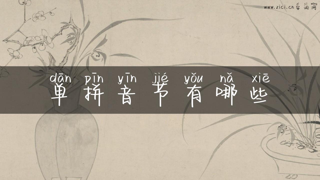 单拼音节有哪些