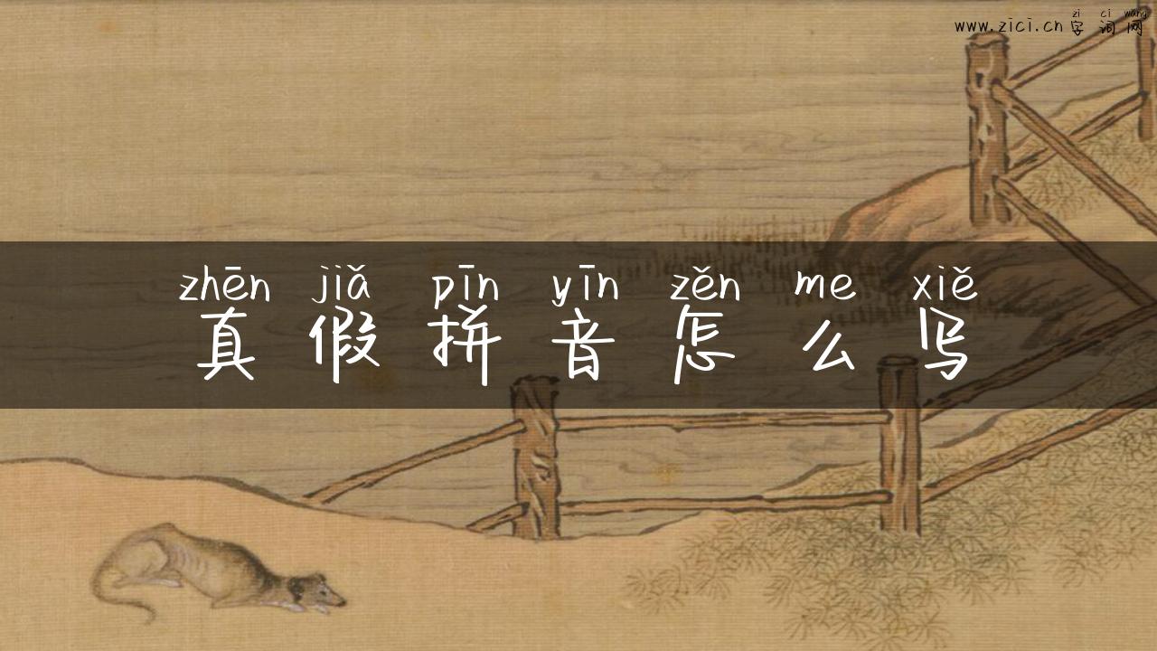 真假拼音怎么写
