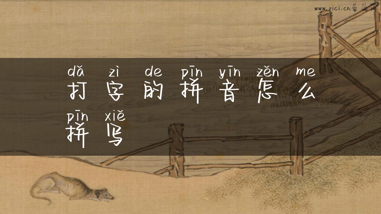 打字的拼音怎么拼写