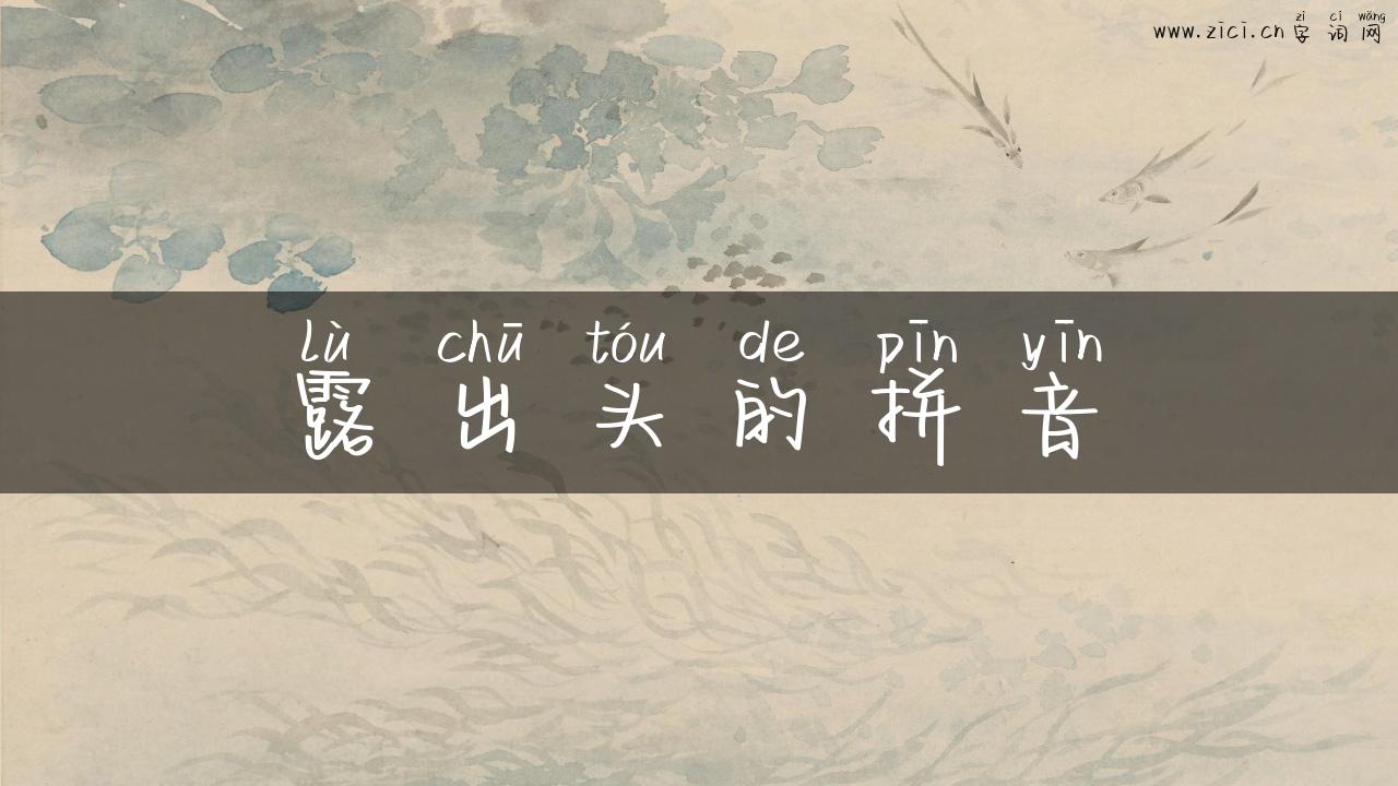 露出头的拼音