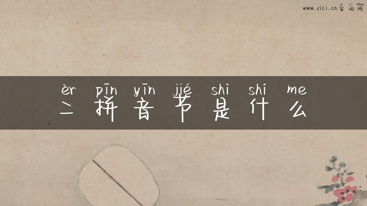 二拼音节是什么