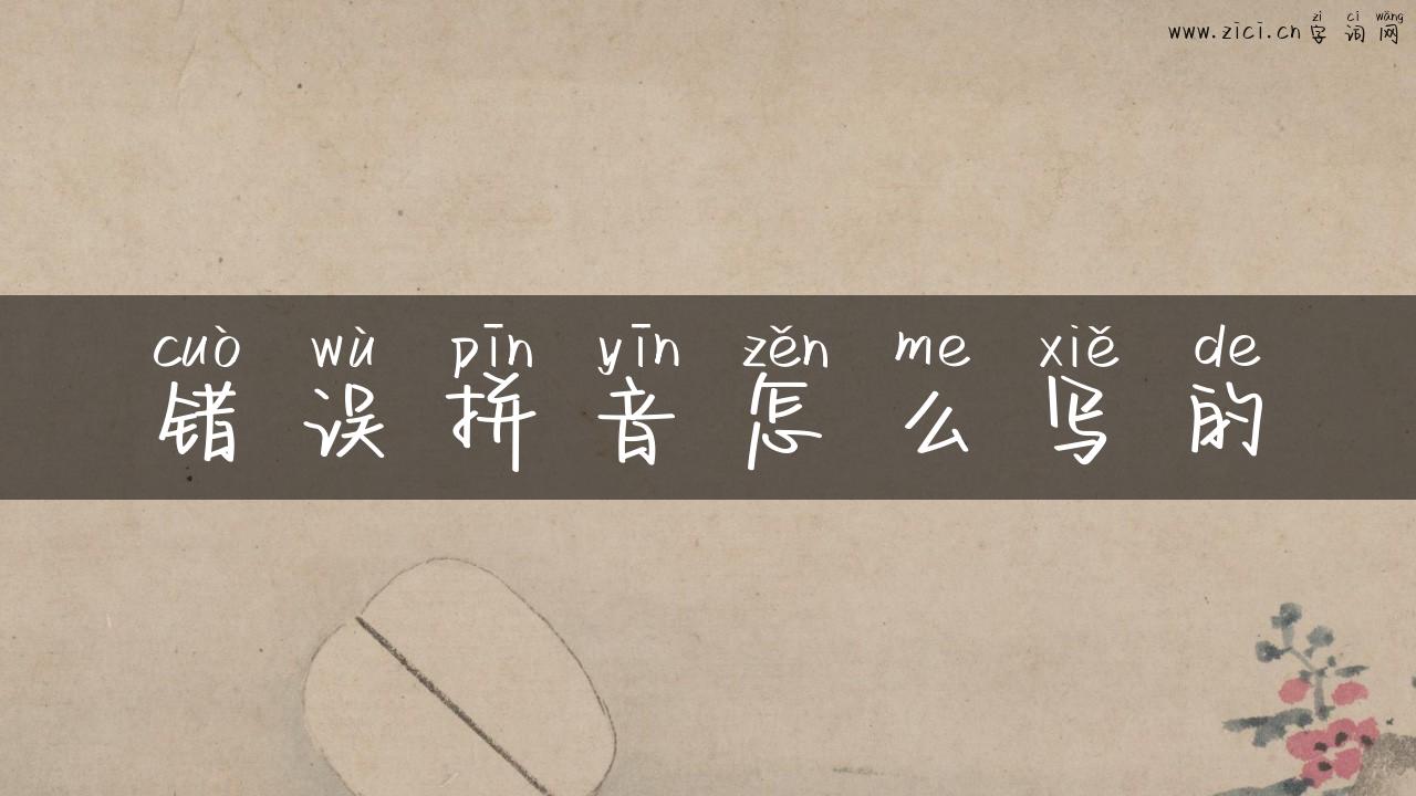 错误拼音怎么写的