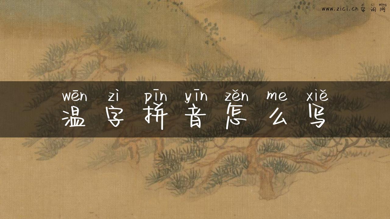 温字拼音怎么写