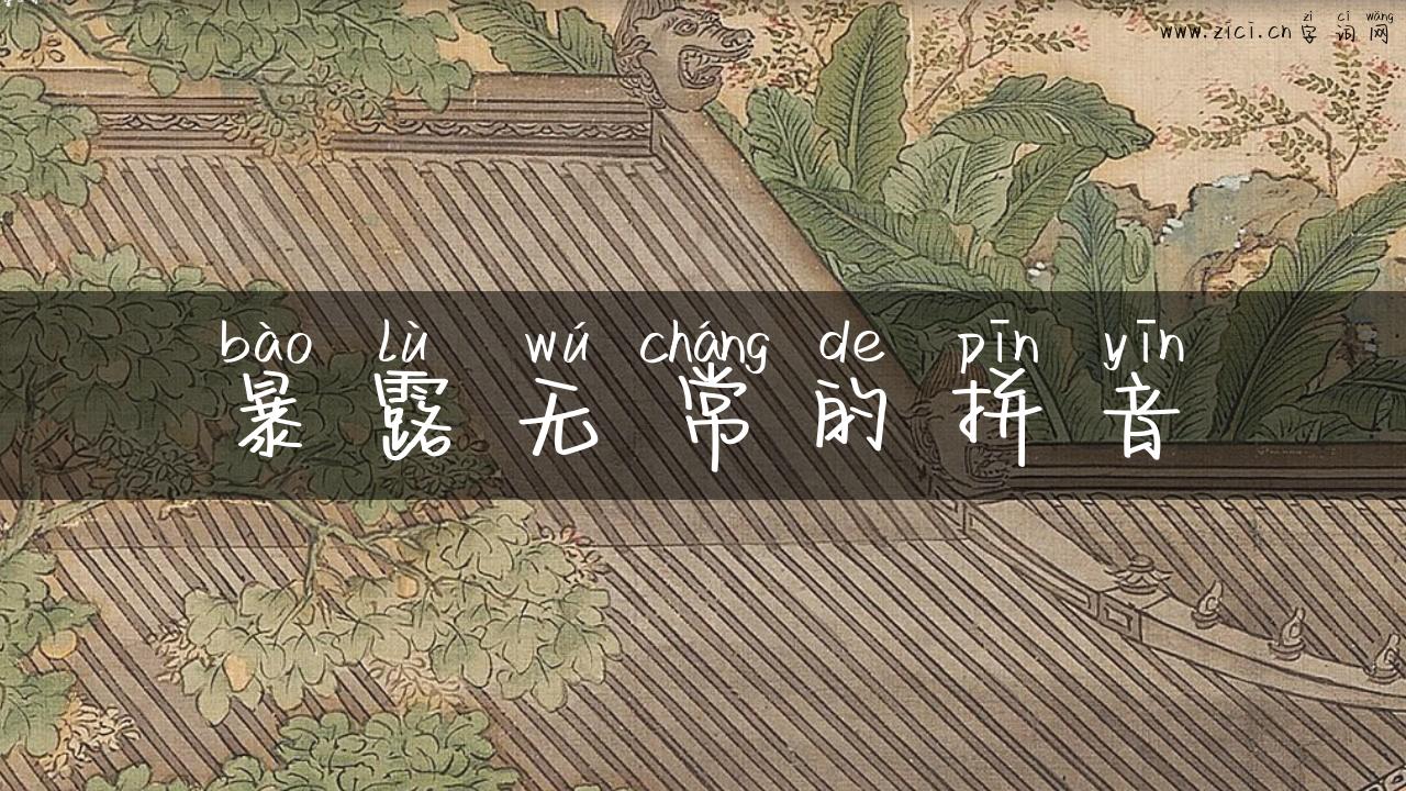 暴露无常的拼音