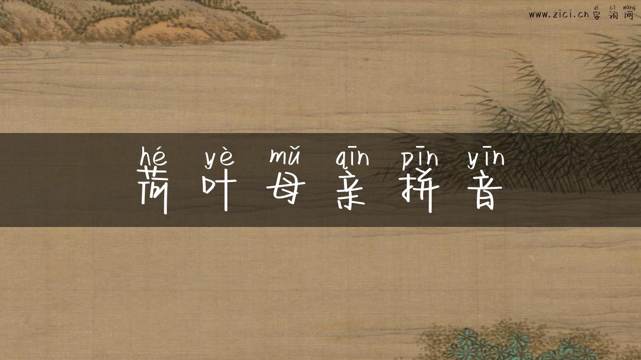 荷叶母亲拼音