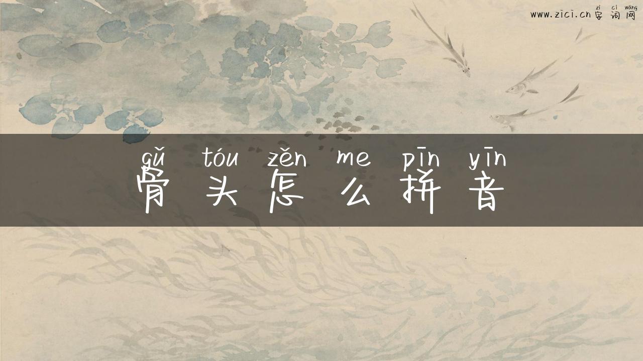 骨头怎么拼音