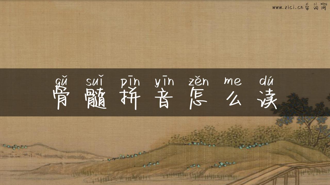 骨髓拼音怎么读