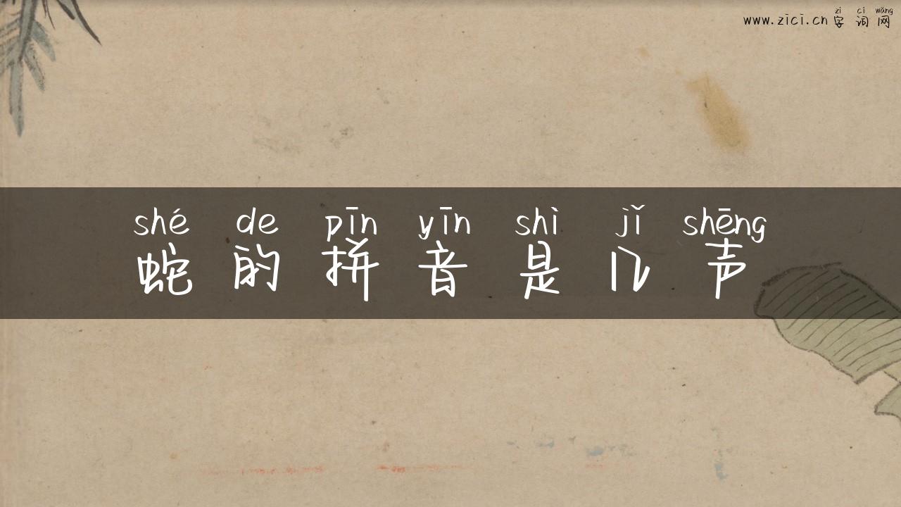蛇的拼音是几声