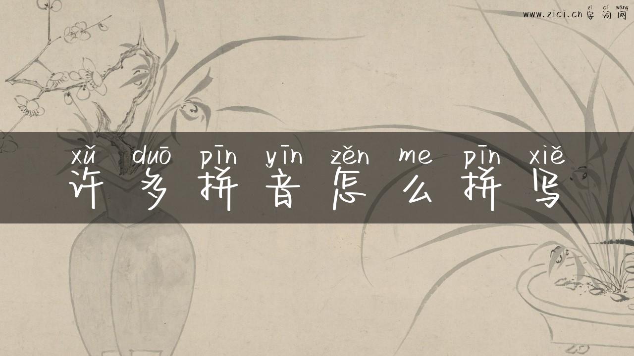 许多拼音怎么拼写