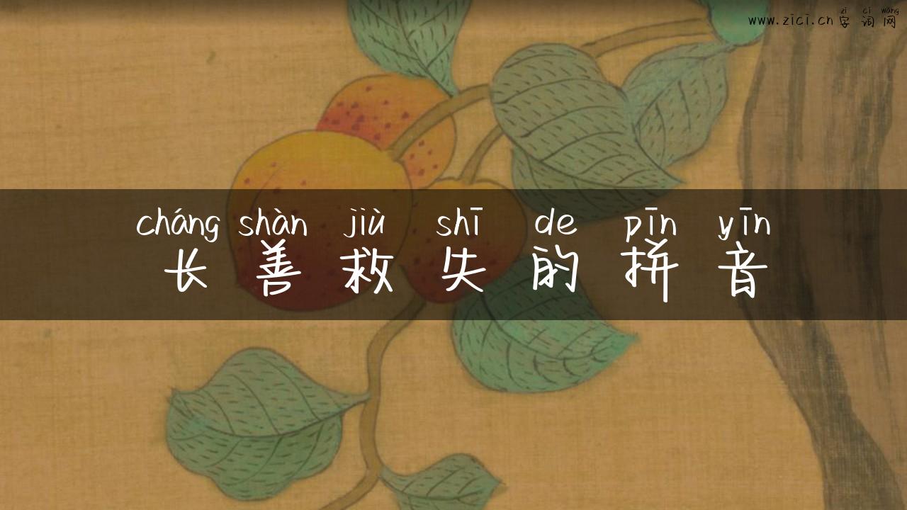 长善救失的拼音