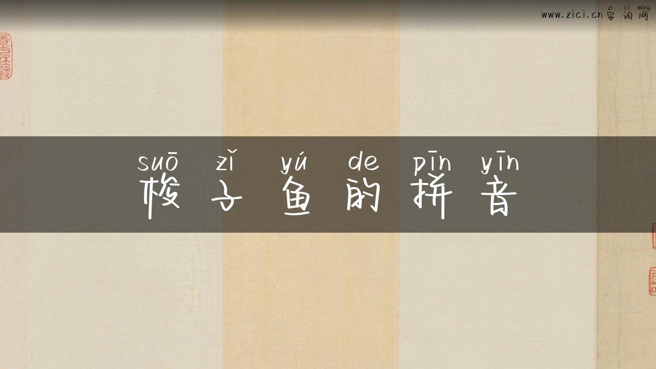 梭子鱼的拼音