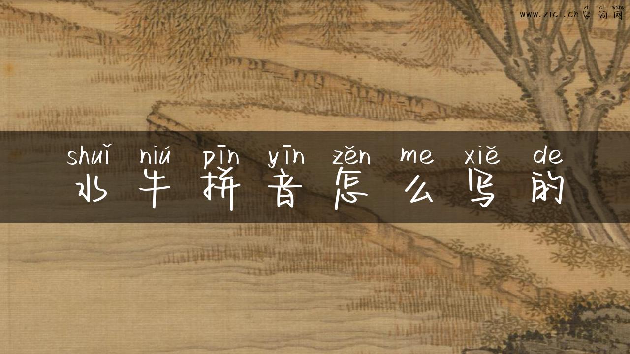 水牛拼音怎么写的